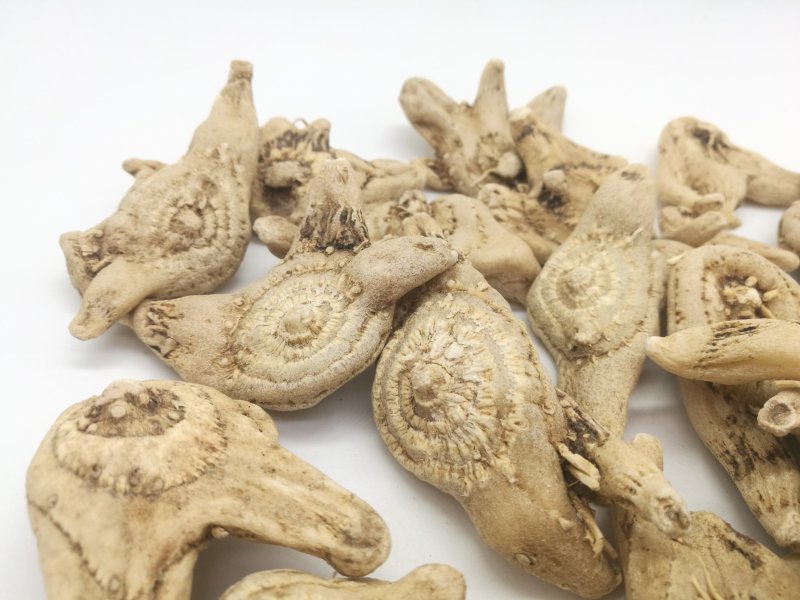 白芨三叉白芨三叉戟白芨个子