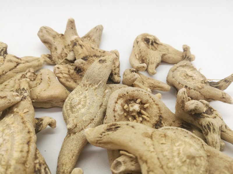 白芨三叉白芨三叉戟白芨个子