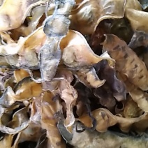 米豆皮炖菜神器
