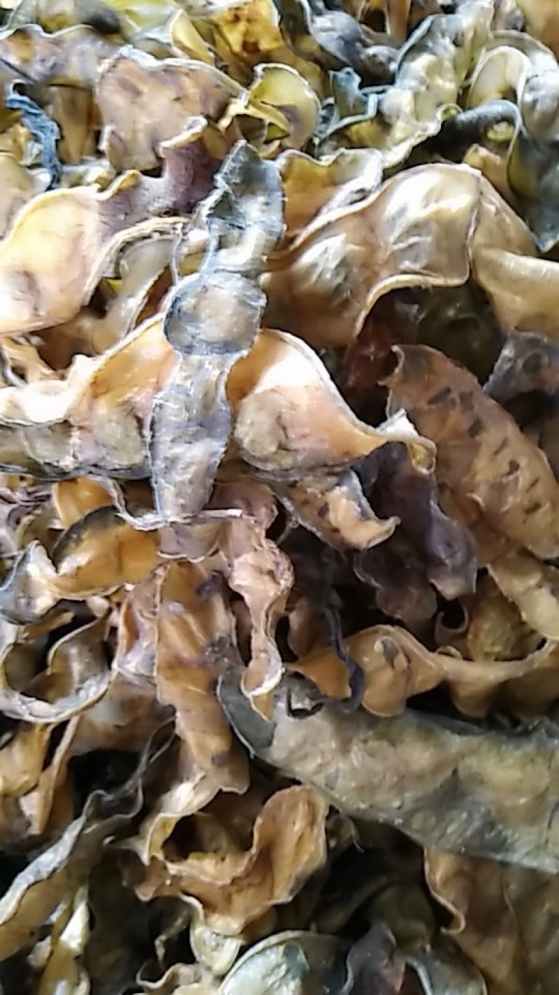 米豆皮炖菜神器