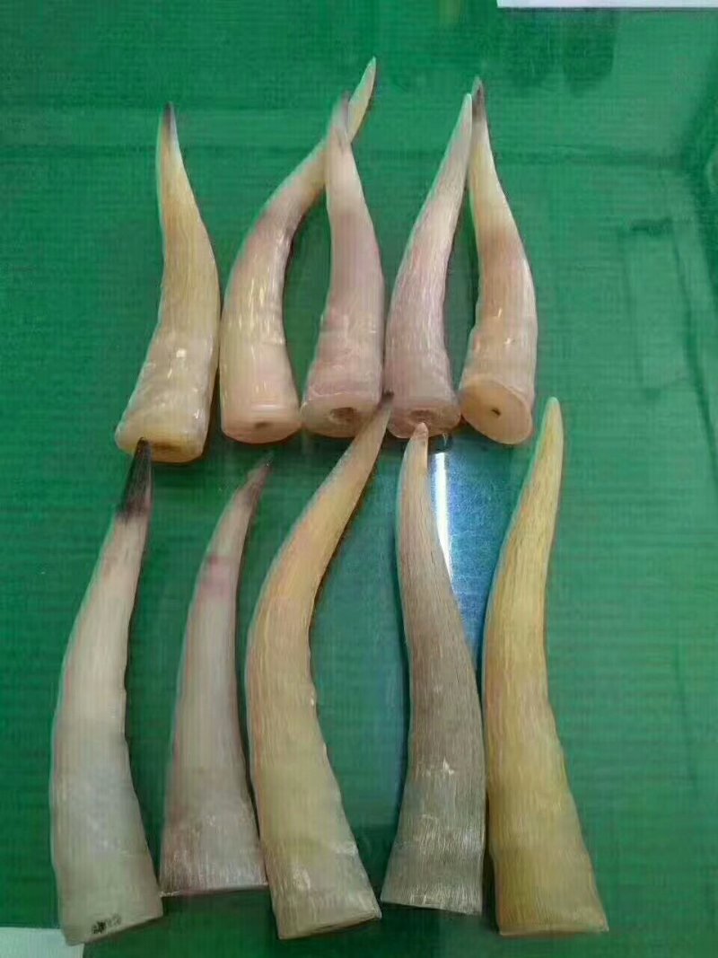 羚羊角丝，一包包邮