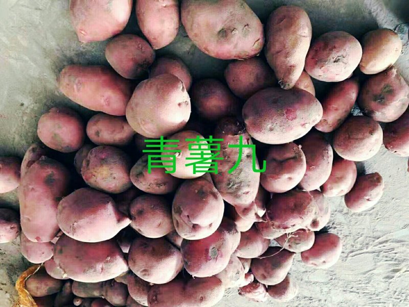 精品土岩二号