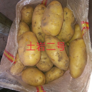 精品土岩二号