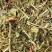 花生秧，牛羊马兔草料，过滚筒筛除尘，厂价直销