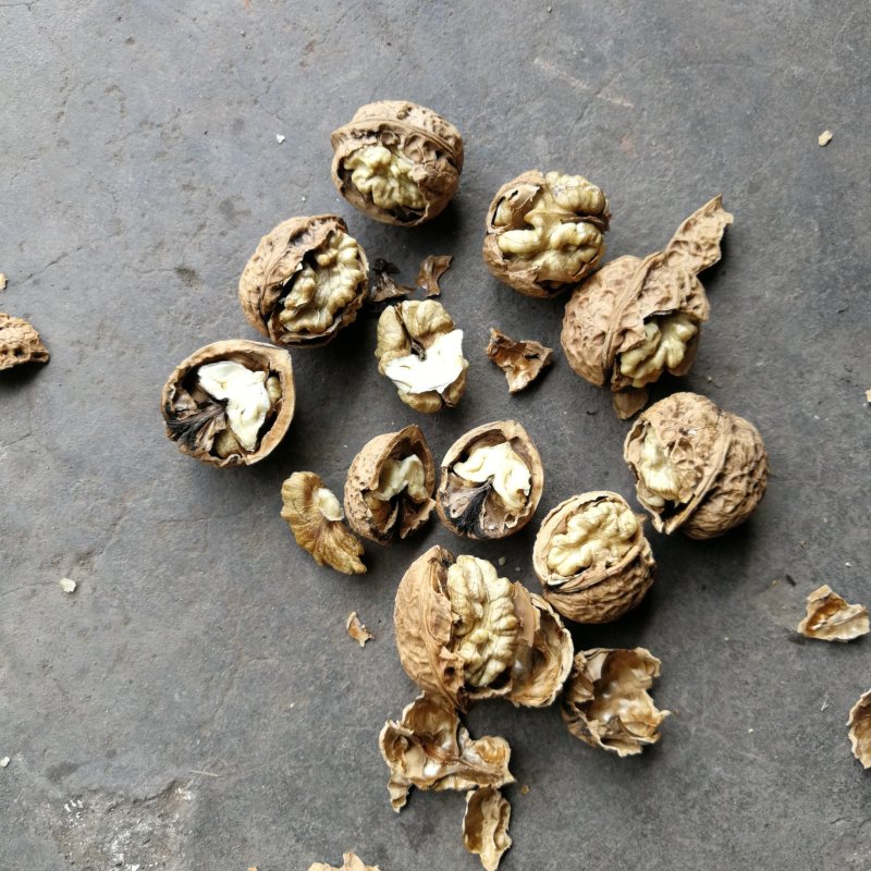 景东茶核桃