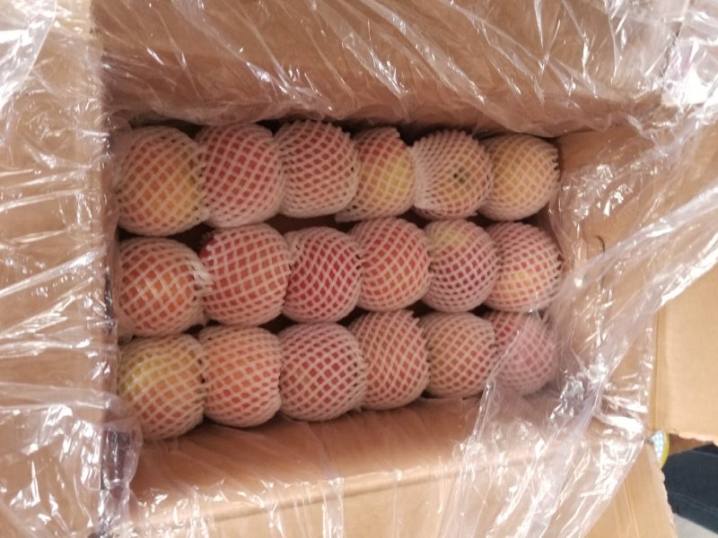 纸袋，膜带红富士苹果大量下树，任意挑选，货源充足品质保证