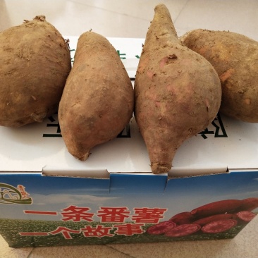 青农人冰淇淋番薯5斤装/箱包邮