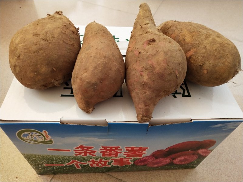 青农人冰淇淋番薯5斤装/箱包邮