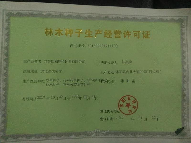 进口郁金香种球