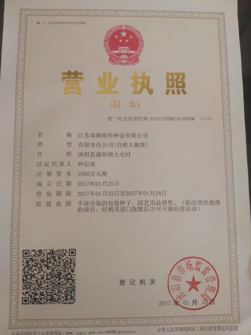 进口郁金香种球