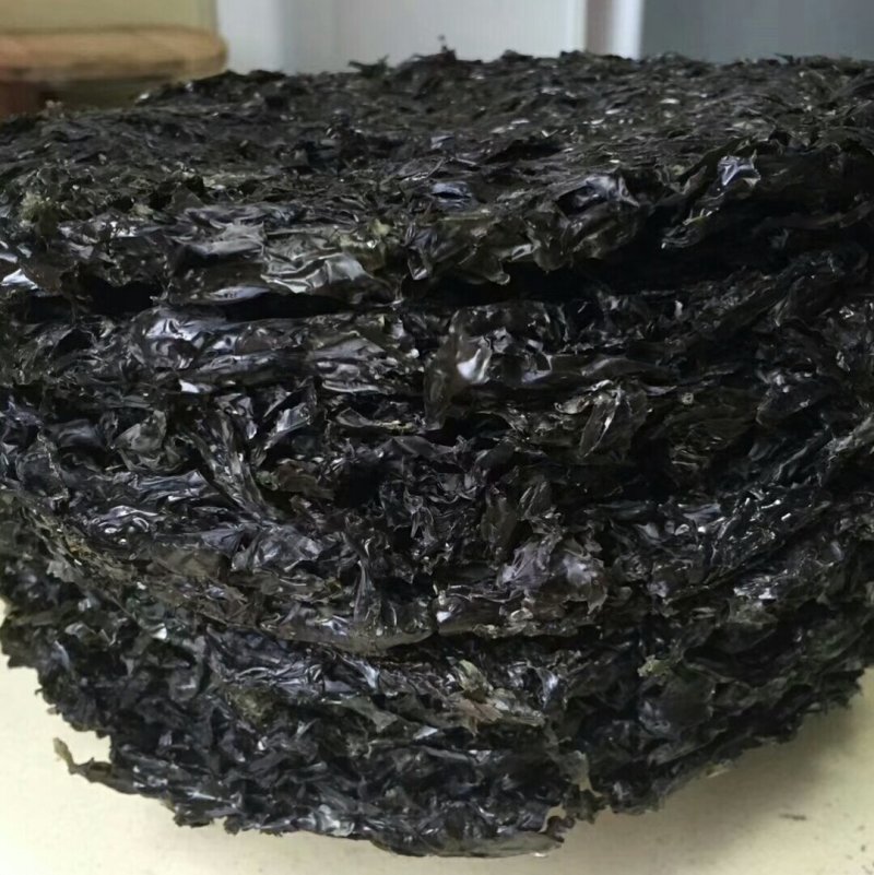广东陆丰碣石海产野生紫菜10张55块包邮
