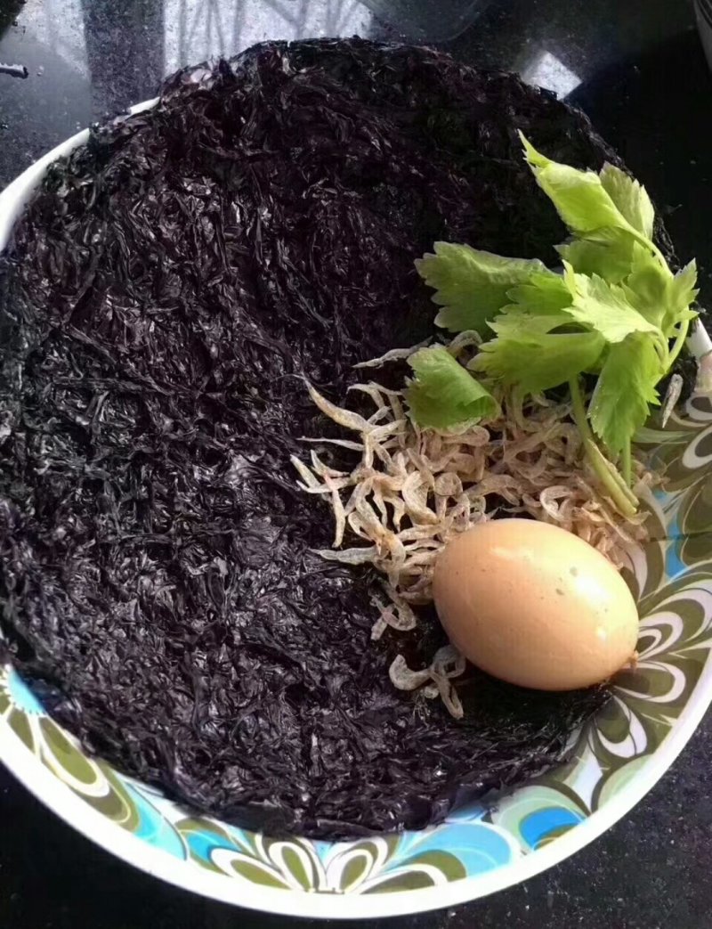 广东陆丰碣石海产野生紫菜10张55块包邮