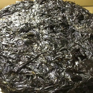广东陆丰碣石海产野生紫菜10张55块包邮