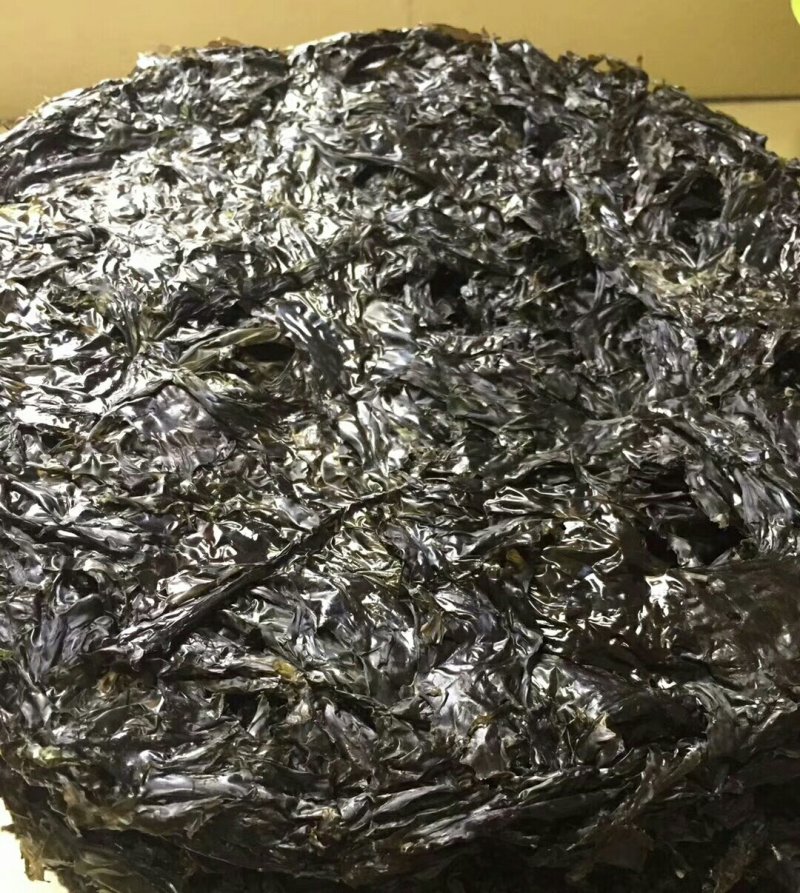 广东陆丰碣石海产野生紫菜10张55块包邮