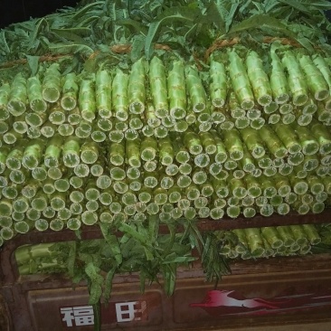 莴苣，紫叶香，三青