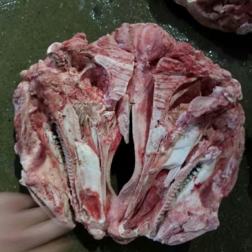猪头肉