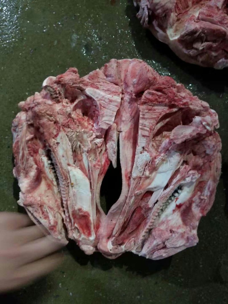 猪头肉