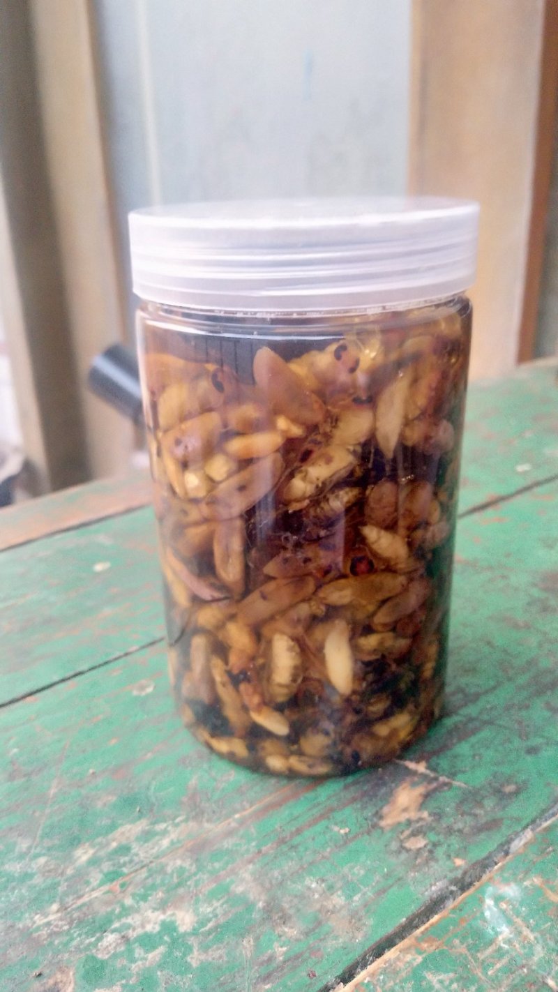 油炸蜂蛹开罐即食土蜂蜂蛹半斤装（包邮）