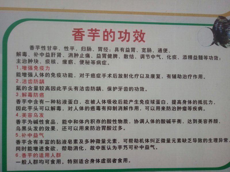 槟榔芋