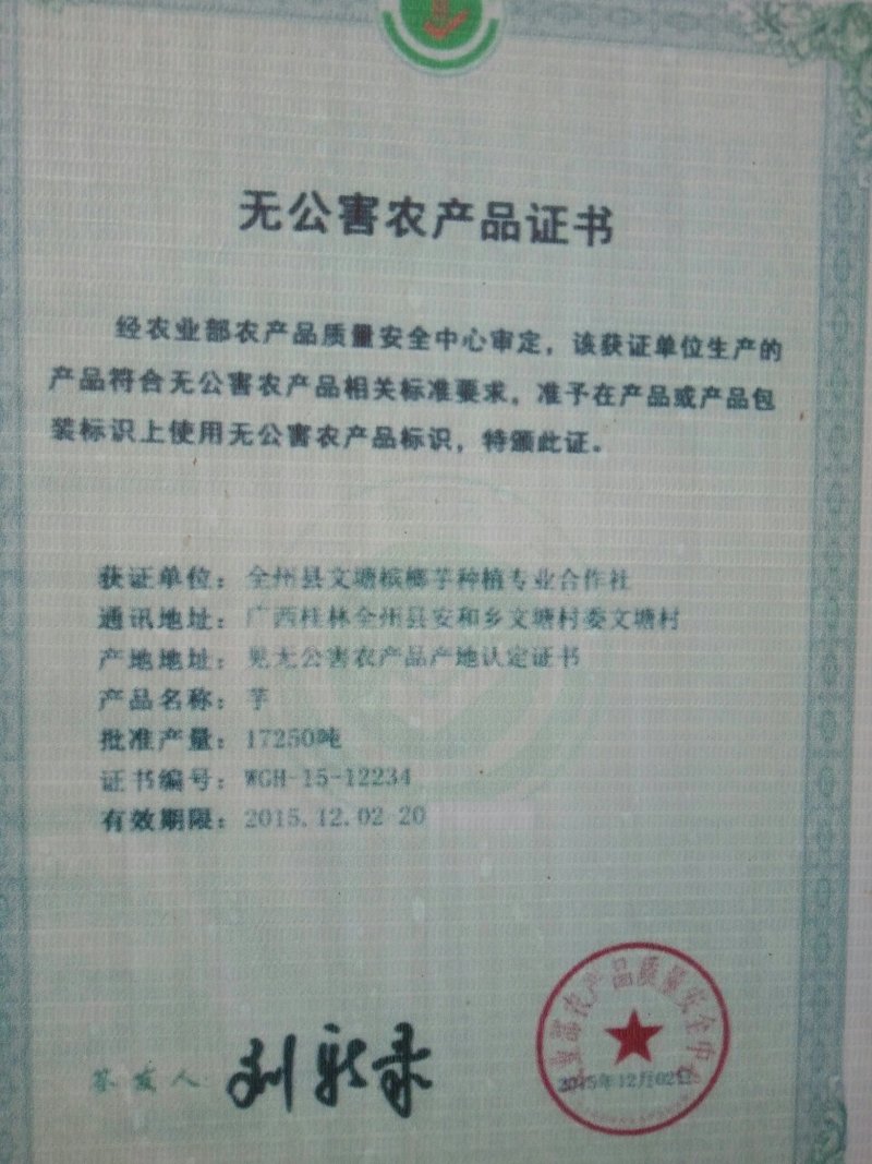 槟榔芋