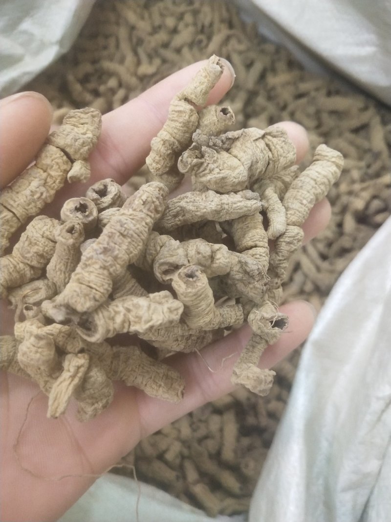 巴戟天批发各种规格中药材