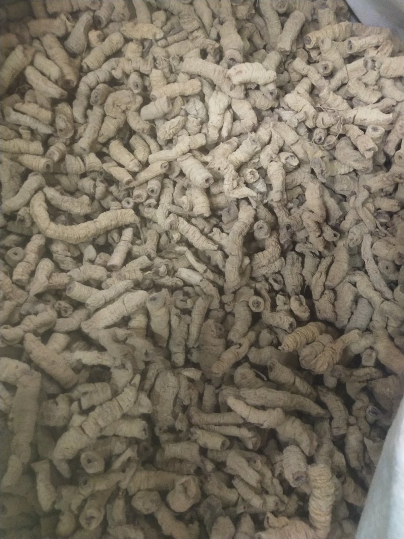 巴戟天批发各种规格中药材