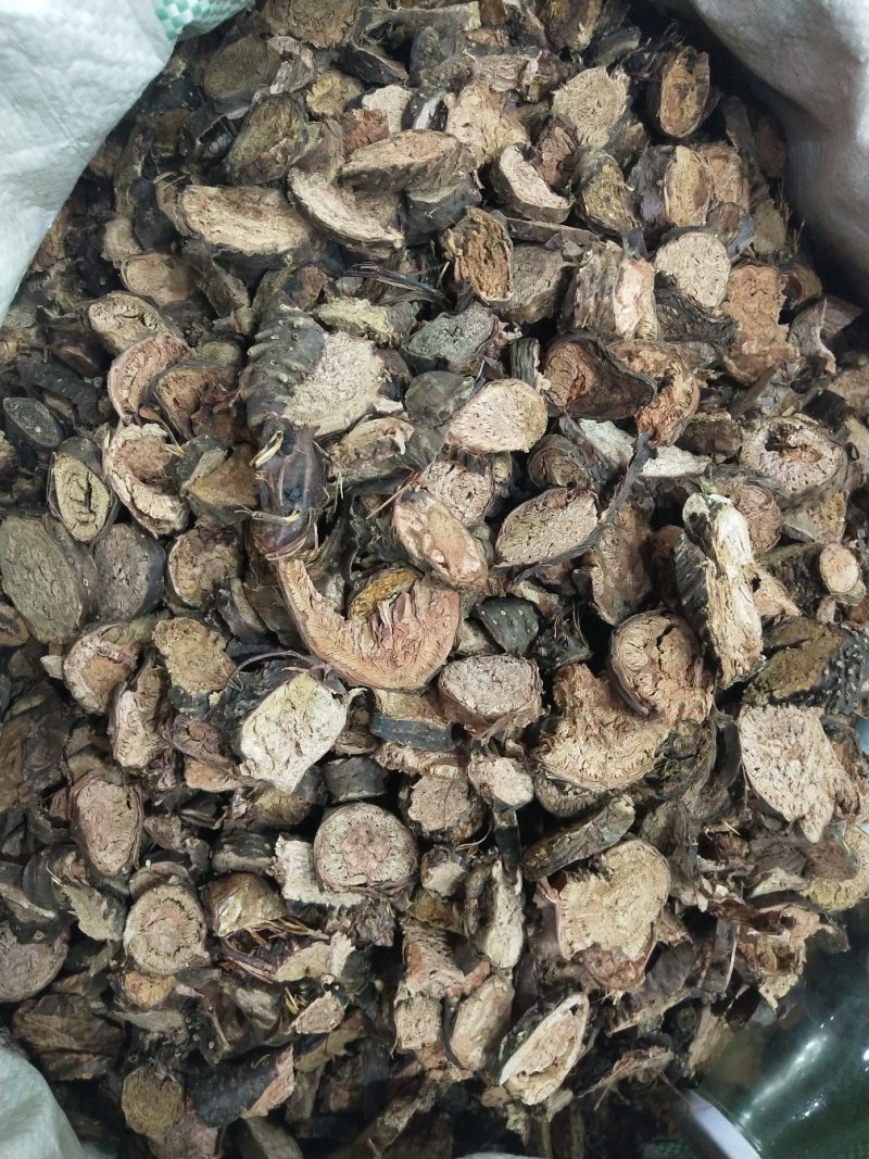 红景天批发各种规格中药材