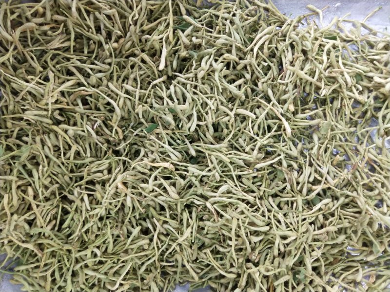 金银花河北巨鹿药茶两用青花中药材批发一公斤起批