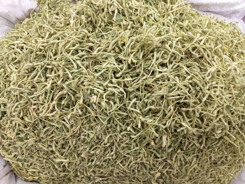 金银花河北巨鹿药茶两用青花中药材批发一公斤起批