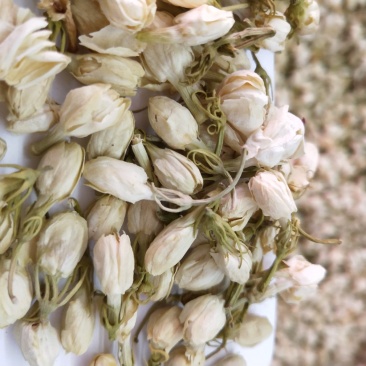 茉莉花茶批发各种规格中药材，花茶