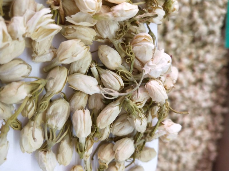 茉莉花茶批发各种规格中药材，花茶