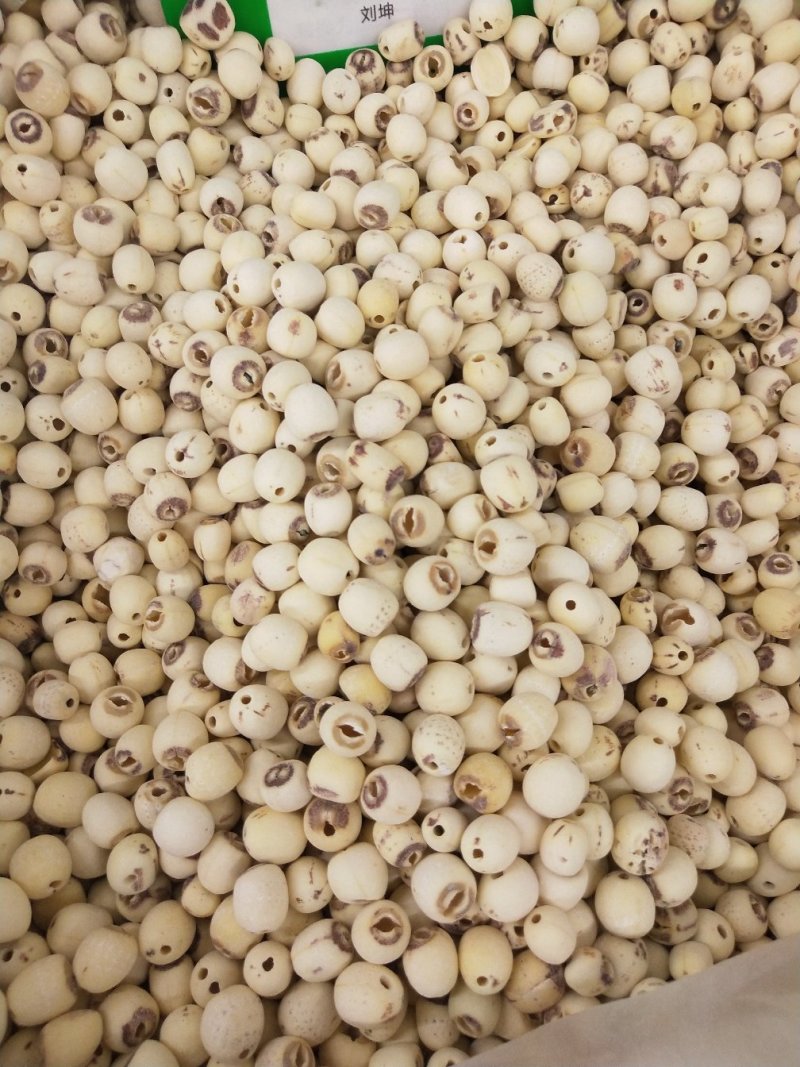 莲子肉全抽心批发各种规格中药材