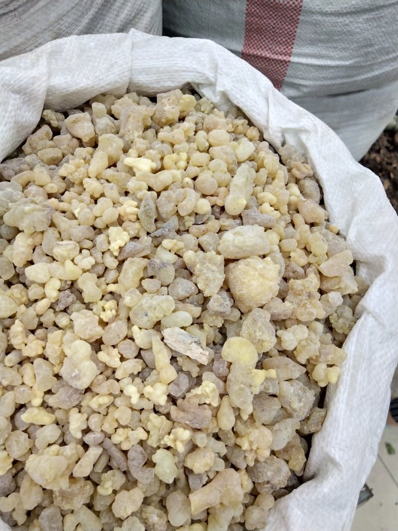 乳香批发各种规格中药材