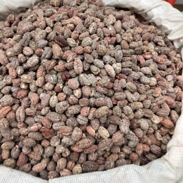 砂仁米批发各种规格中药材
