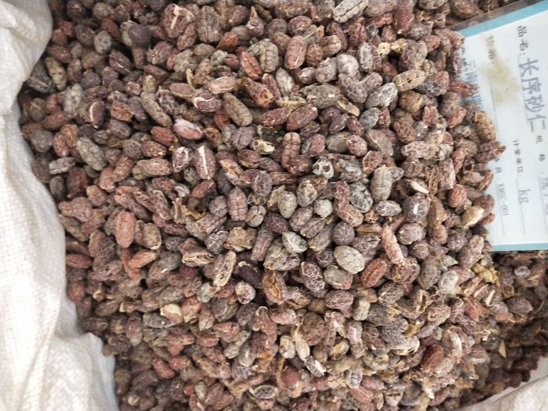 砂仁米批发各种规格中药材