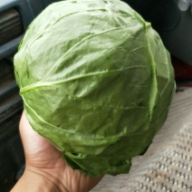 蔬菜