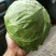 蔬菜