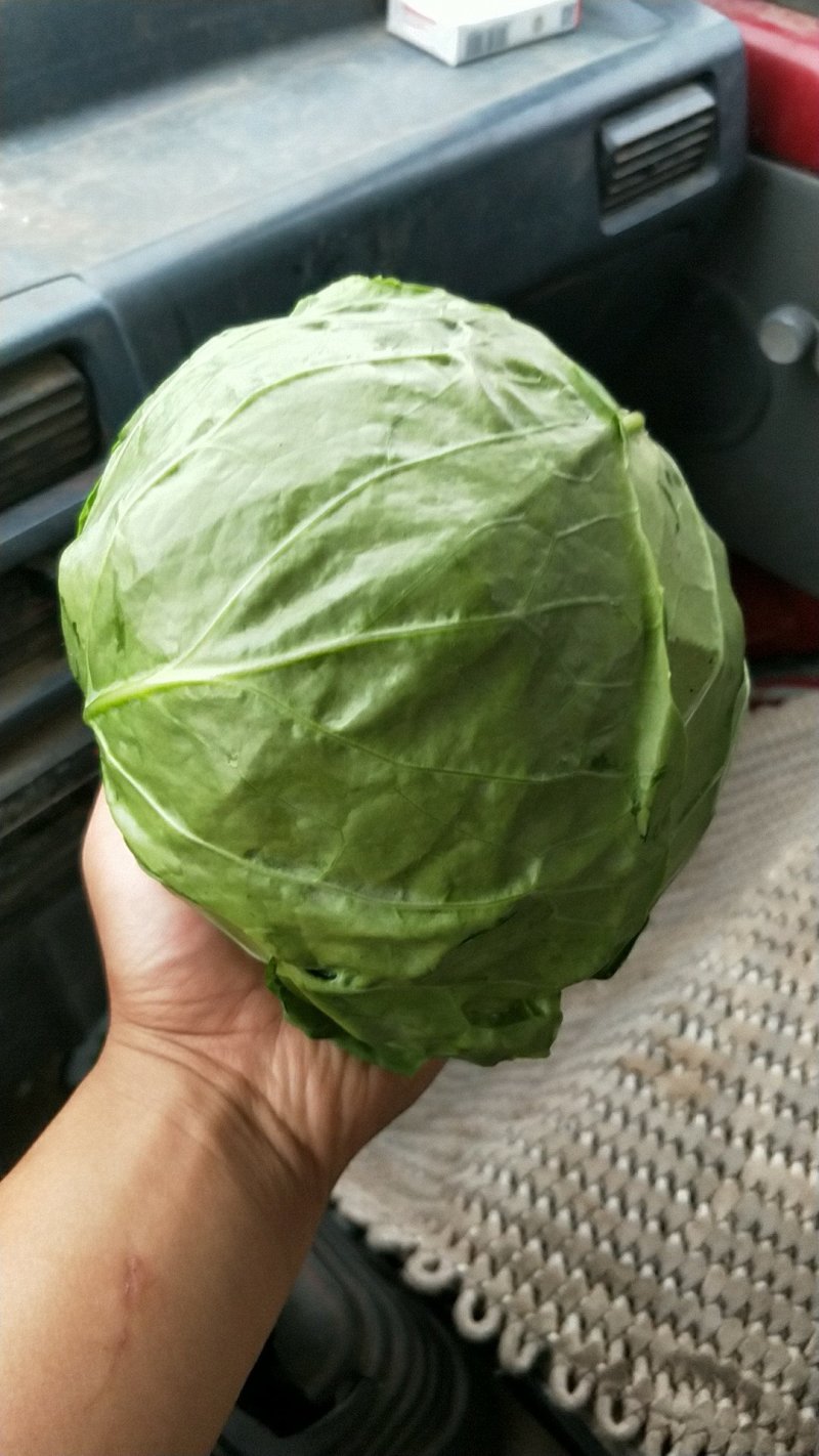 蔬菜