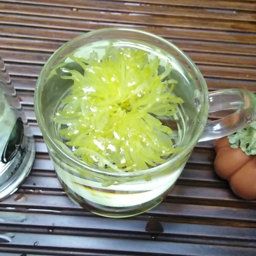 金丝皇菊