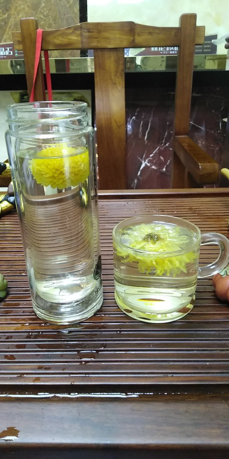 金丝皇菊