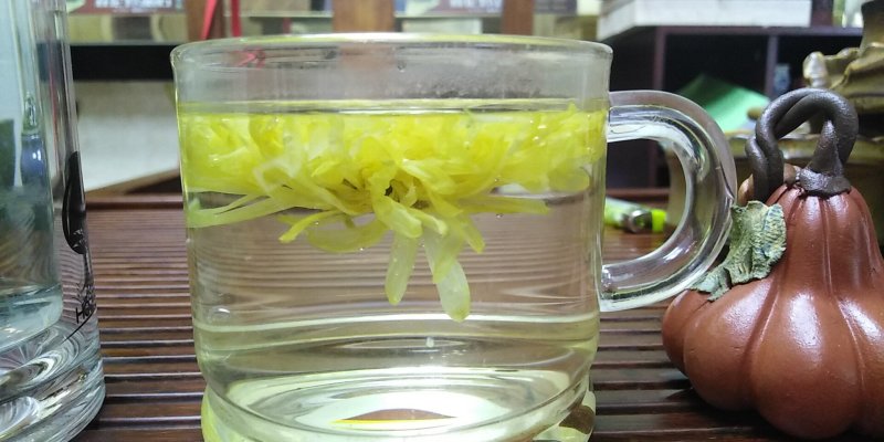 金丝皇菊