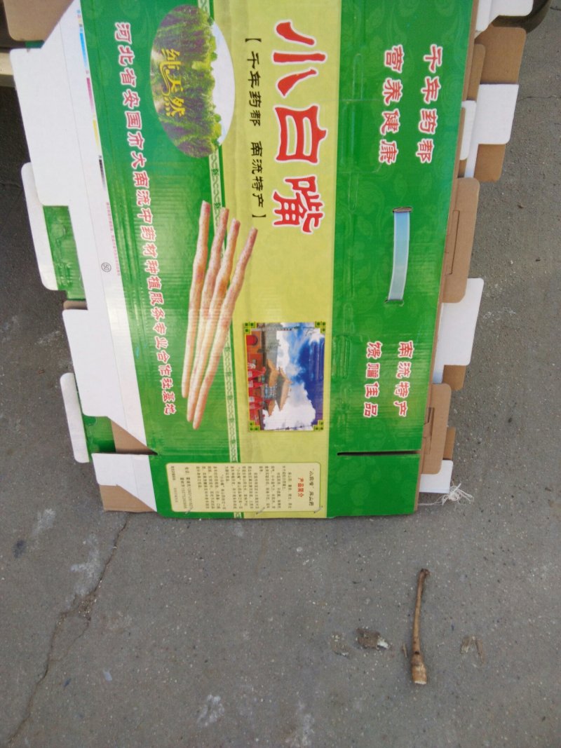 小白嘴白山药2~3厘米一级手捡40~50厘米