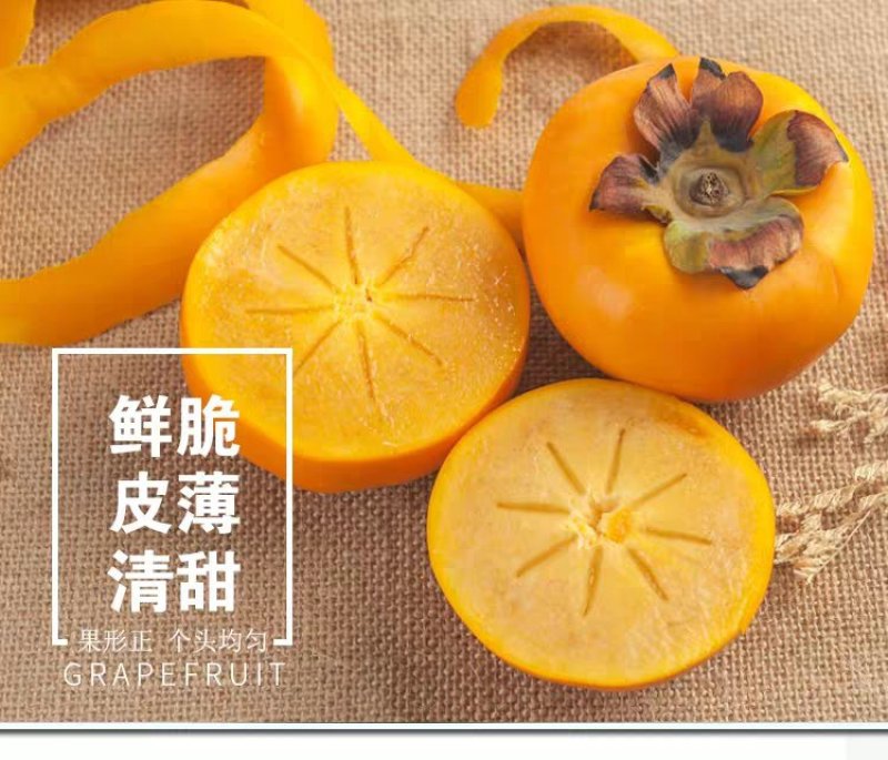 应季新鲜水果阳丰脆甜柿子产地直销保质量保品系保结果
