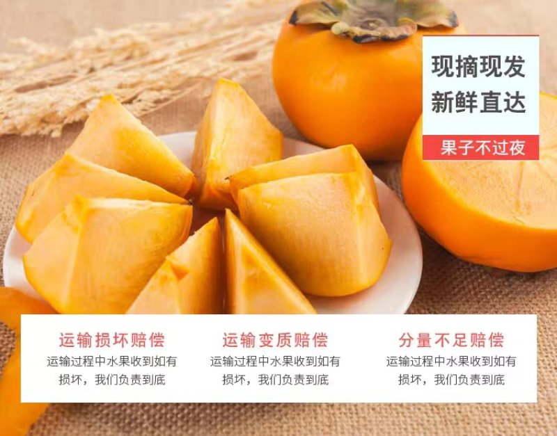 应季新鲜水果阳丰脆甜柿子产地直销保质量保品系保结果