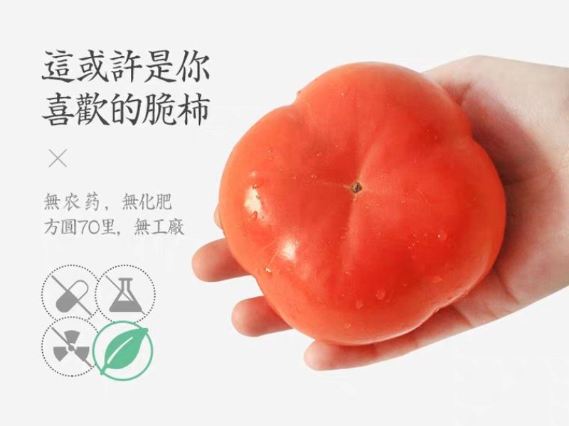 应季新鲜水果阳丰脆甜柿子产地直销保质量保品系保结果
