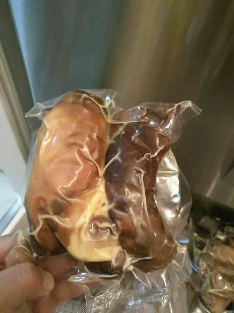 马肠子