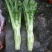 棒菜大量出售