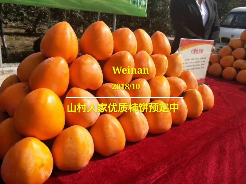 柿饼