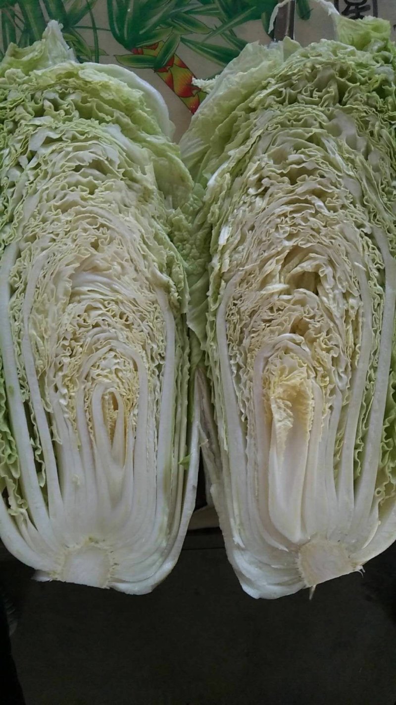 北京三号白菜，白菜，大白菜，大量供应，质量好，价格便宜