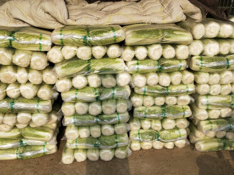 北京三号白菜，白菜，大白菜，大量供应，质量好，价格便宜